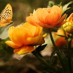 Breaking Free from the Monotony: Tips on How to Live a More Intentional Life