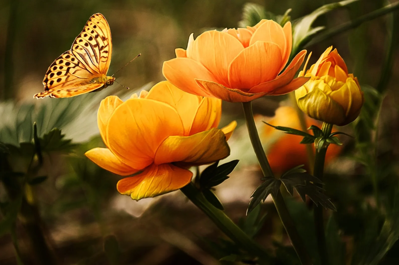 Breaking Free from the Monotony: Tips on How to Live a More Intentional Life