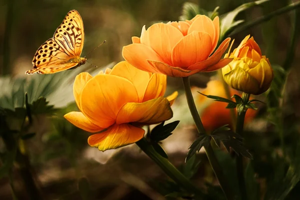 Breaking Free from the Monotony: Tips on How to Live a More Intentional Life