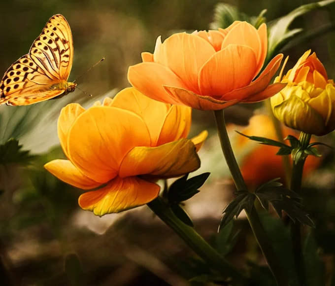 Breaking Free from the Monotony: Tips on How to Live a More Intentional Life