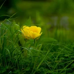 Empowering Transformation: How to Make Positive Changes in Your Life