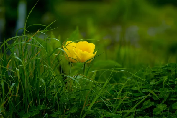 Empowering Transformation: How to Make Positive Changes in Your Life