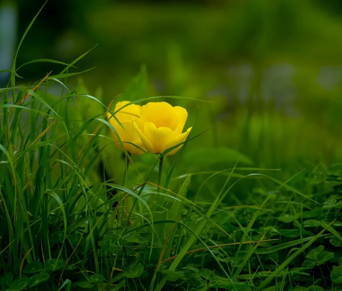 Empowering Transformation: How to Make Positive Changes in Your Life