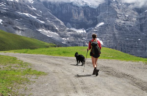Incorporating Daily Movement into Your Life: The Power of Motion