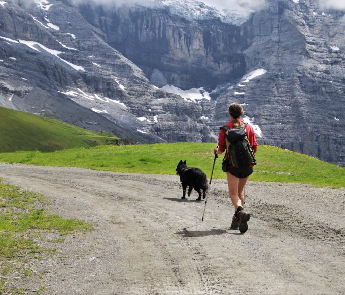 Incorporating Daily Movement into Your Life: The Power of Motion