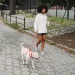 Pawsitive Fitness: Discover How Dog-Walking Can Be Your Fun and Healthy Workout Routine