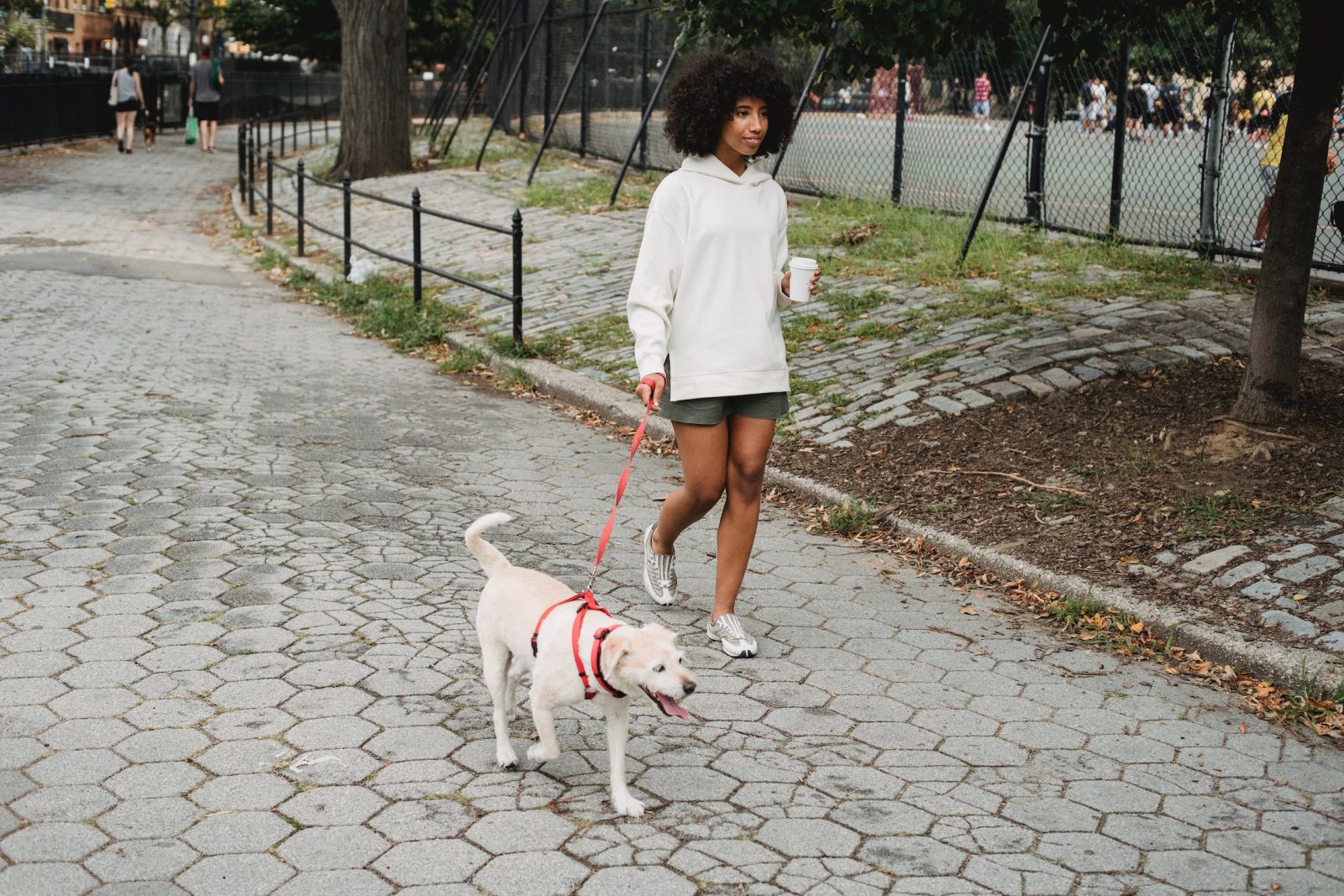 Pawsitive Fitness: Discover How Dog-Walking Can Be Your Fun and Healthy Workout Routine