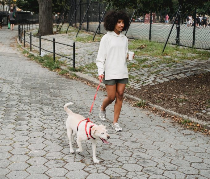 Pawsitive Fitness: Discover How Dog-Walking Can Be Your Fun and Healthy Workout Routine
