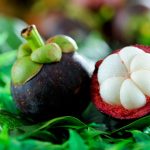 Top 22 Benefits of Consuming Mangosteen Juice for Optimal Health and Wellness