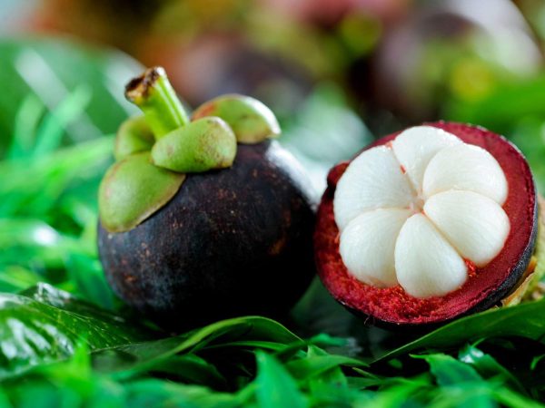 Top 22 Benefits of Consuming Mangosteen Juice for Optimal Health and Wellness