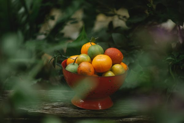 Understanding Antioxidants: Their Role in Health and Disease Prevention