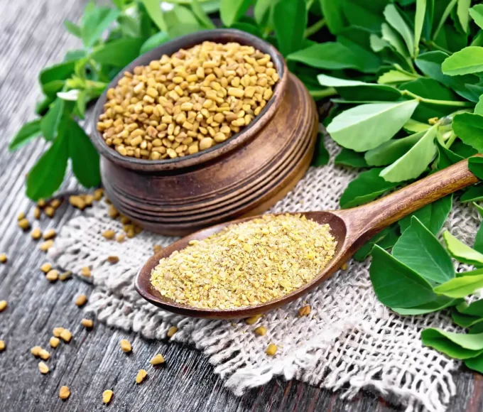 Unleash the Incredible Healing Powers of Fenugreek: Health Benefits You Won't Believe