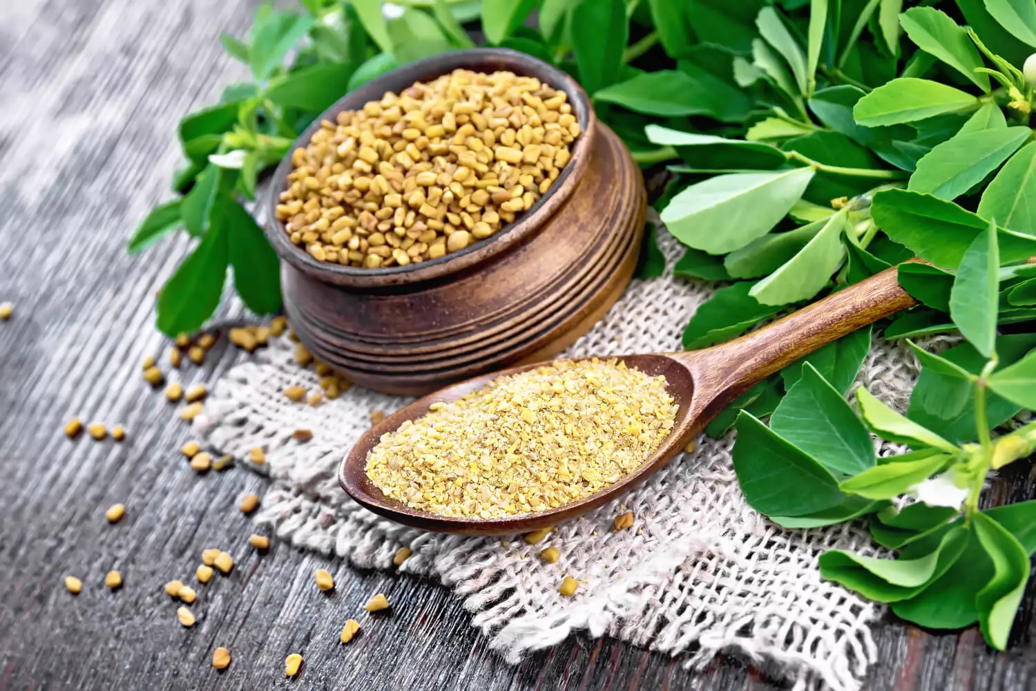 Unleash the Incredible Healing Powers of Fenugreek: Health Benefits You Won't Believe