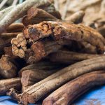 Unlocking the Potent Healing Properties of Plant Medicine for Your Spiritual Journey